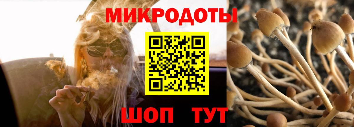 Псилоцибиновые грибы Magic Shrooms Бирск